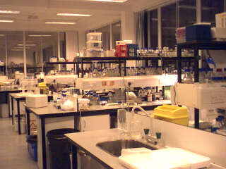 2003-01-06-The_lab.jpg