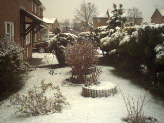 2003-03-12-Garden.jpg