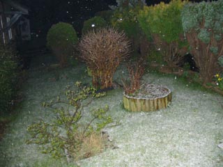 2004-03-11-Snow_starts.jpg