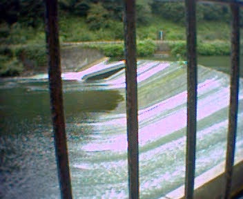 2004-06-19-Weir.jpg