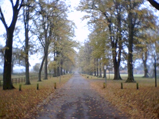 2004-11-01-Autumn.JPG