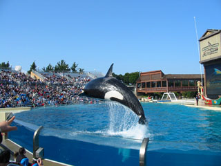 2006-01-08-San_Diego_SeaWorld.JPG