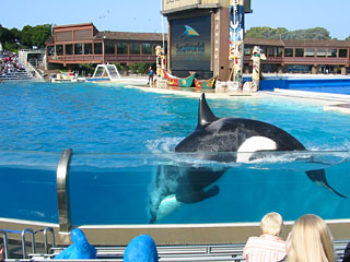 2006-01-08-San_Diego_SeaWorld.JPG