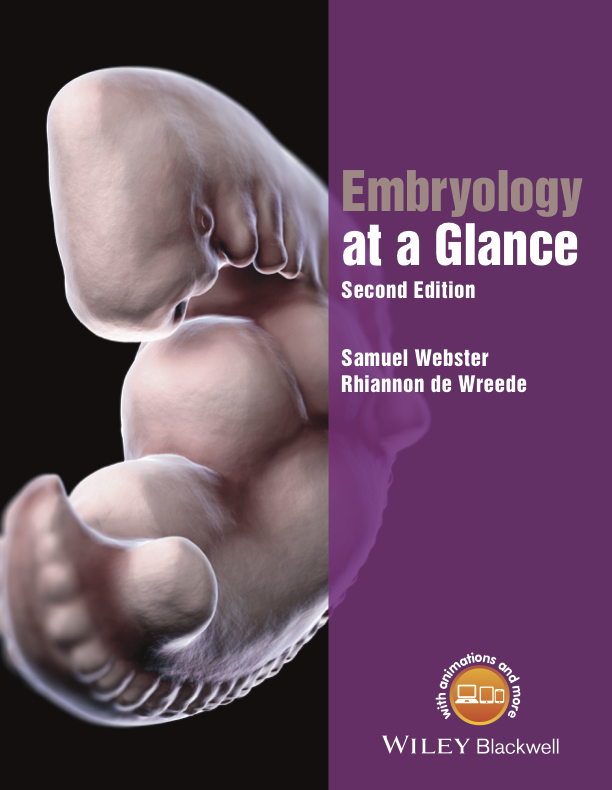 Embryology at a Glance textbook. 