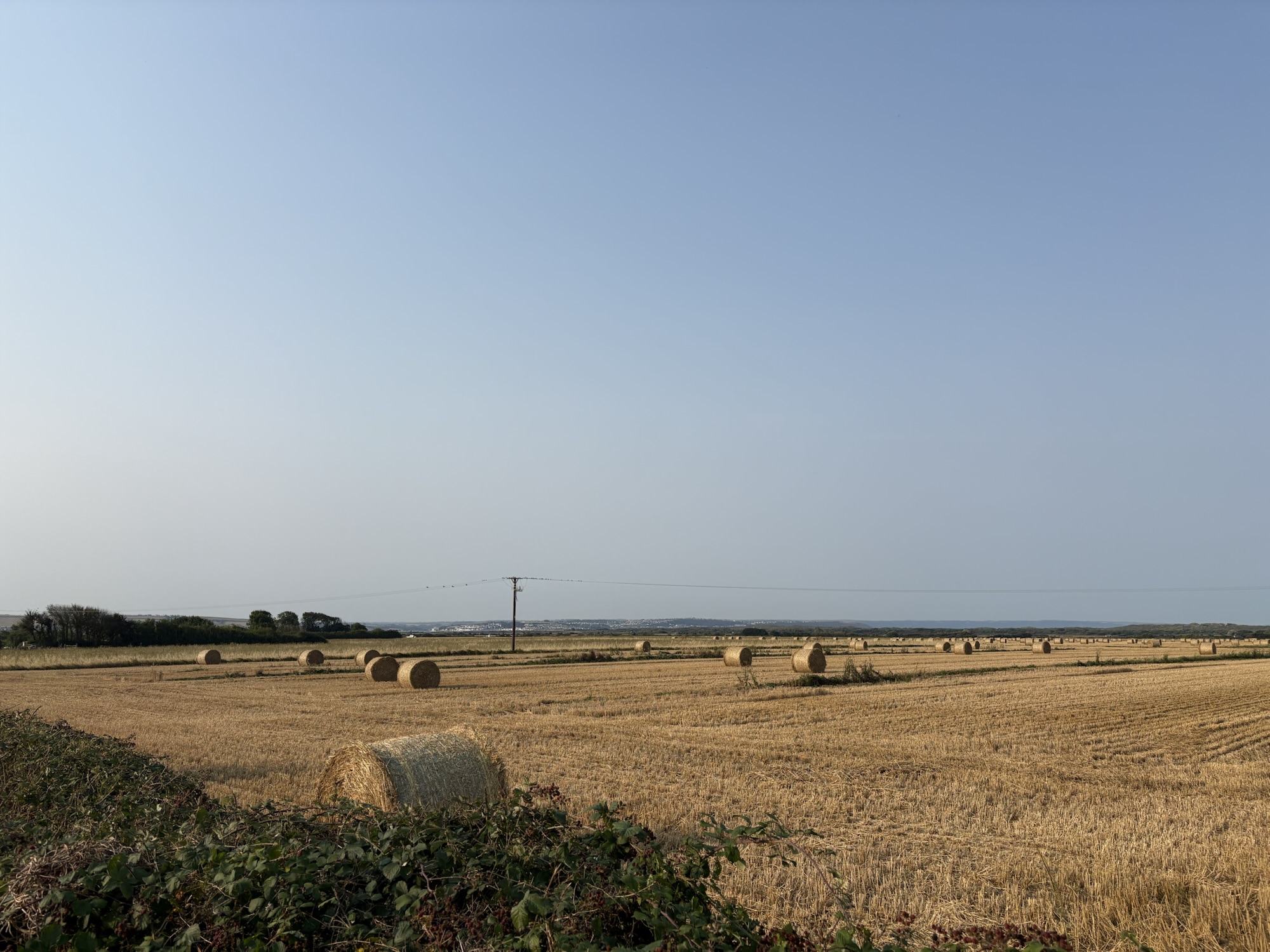 Braunton to Bideford (SWCP day 5)