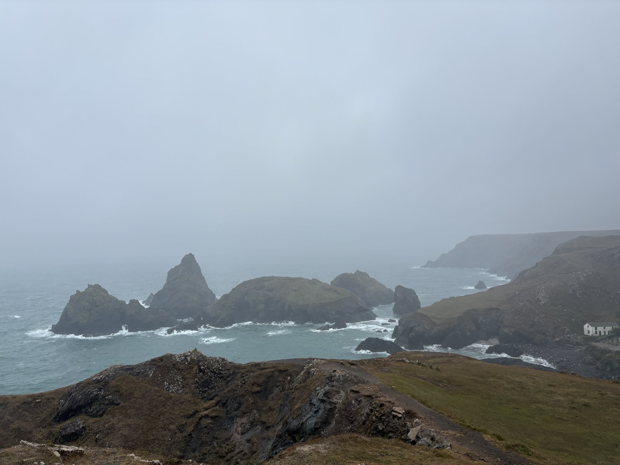 Mullion Cove to Coverack (SWCP day 19)